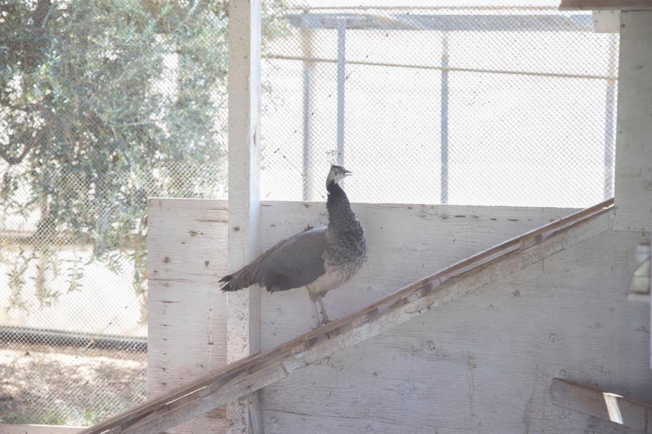 La Lantana Villa Marina di Ragusa Kültér fotó